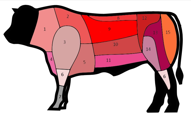 Différentes coupes de boeuf